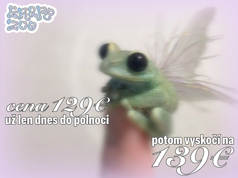 Posledných pár hodín za 129€ ()